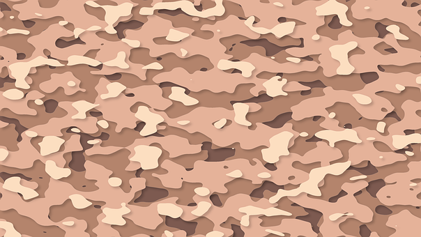 Free Camouflage Army illustration and picture