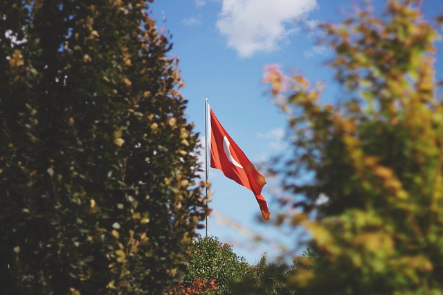 Flag, Kalkun, Flagstang, Tyrkisk Flag