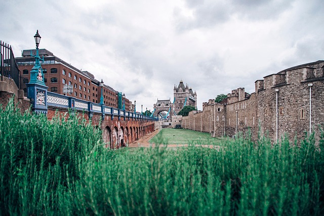 Free Tower Bridge City photo and picture