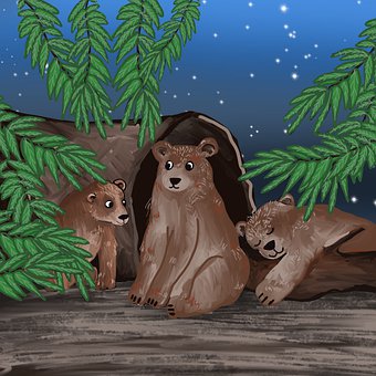 Bär, Höhle, Jungtiere, Bäume, Natur