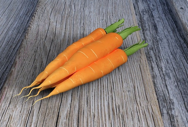Free carrots daucus carota vegetables illustration