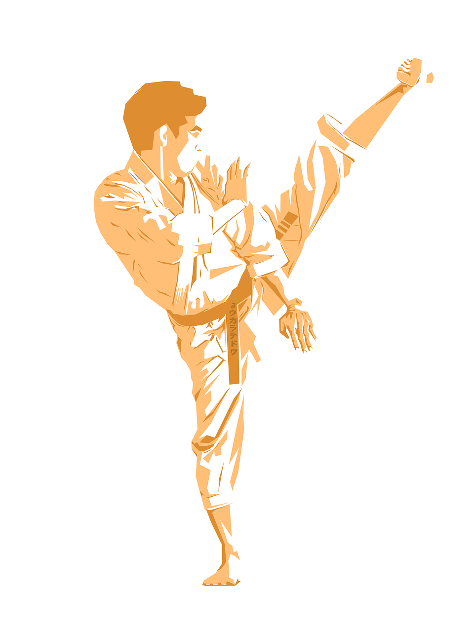 Kämpfer, Karate, Taekwondo, Trete