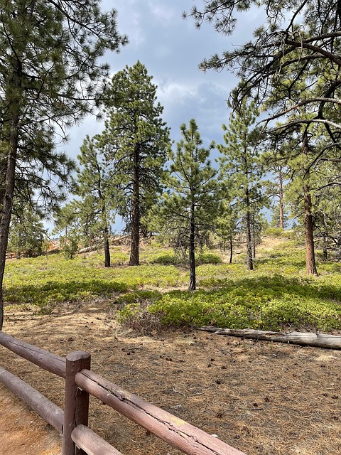 Free Bryce Canyon National Park Utah photo and picture