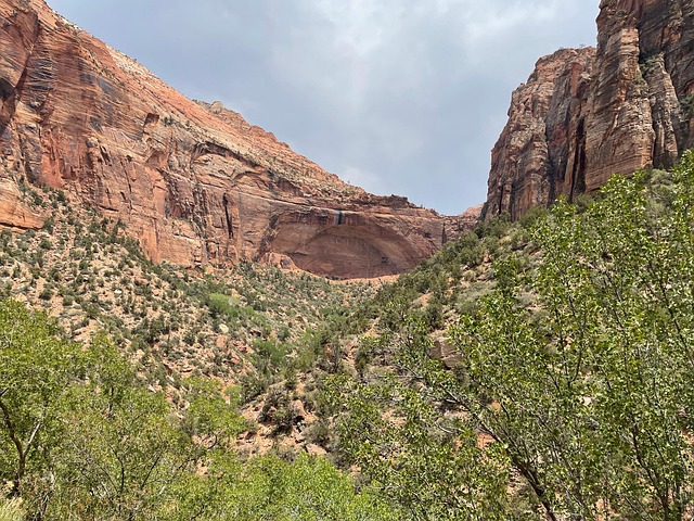 Free Summer Zion National Park photo and picture