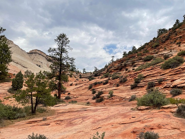 Free Summer Zion National Park photo and picture