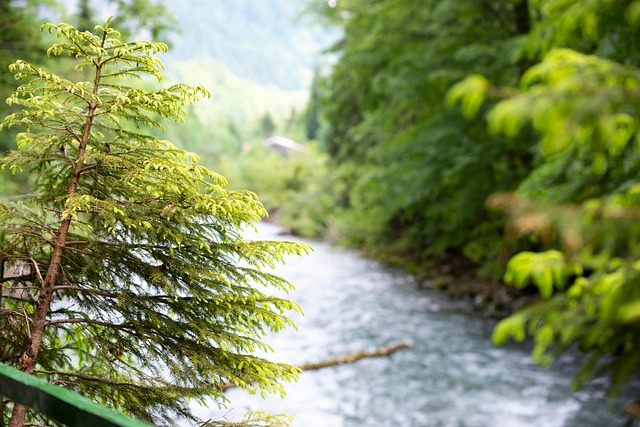 Free Sun Nature photo and picture