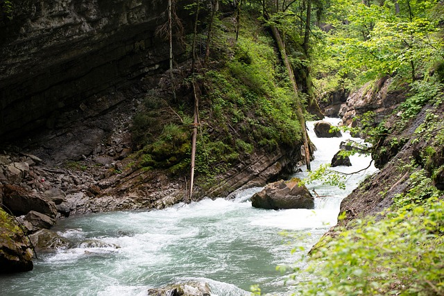 Free Gorge Feet photo and picture