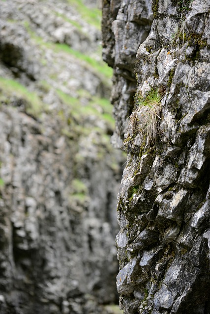 Free Gorg Stone photo and picture
