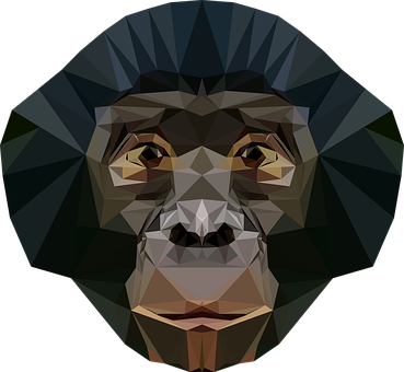 Free Monkey Face vector and picture