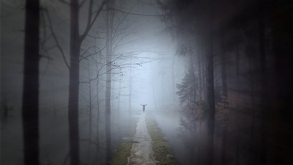 Free Fantasy Dream photo and picture