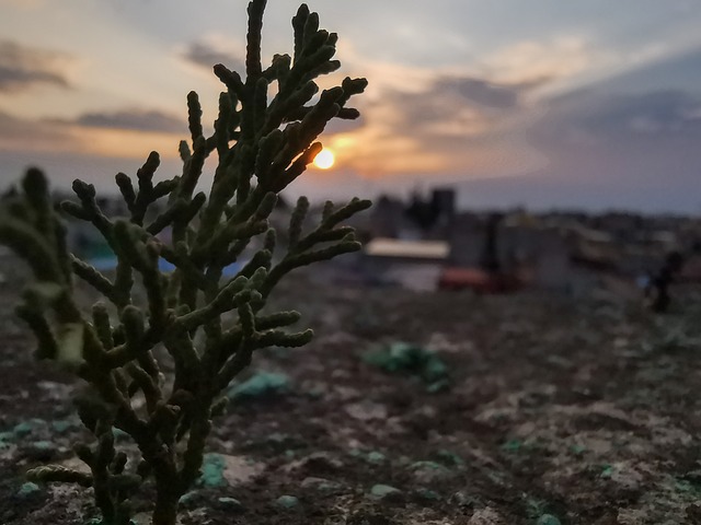 Paisaje, Atardecer, Mexico