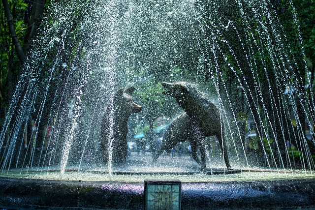 Coyoacan, México, Coyotes, Fuente, Agua
