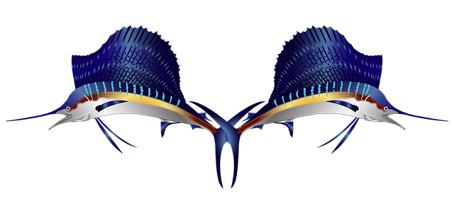 Free marlin fish animal illustration