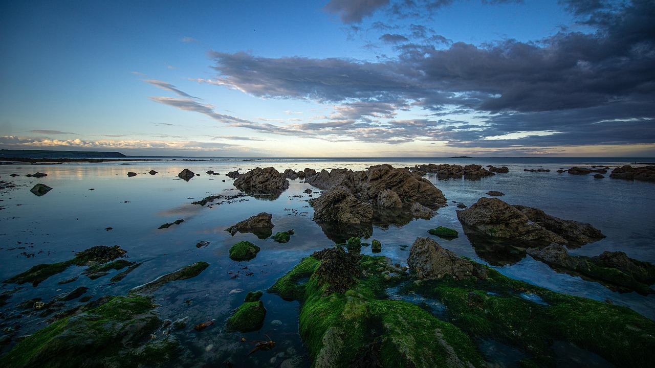 Free Coast Rocks photo and picture