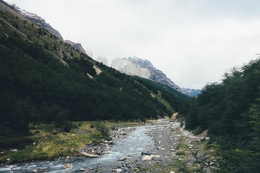 Free Torres Del Paine Stream photo and picture