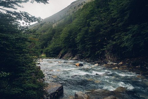 Free Torres Del Paine Stream photo and picture
