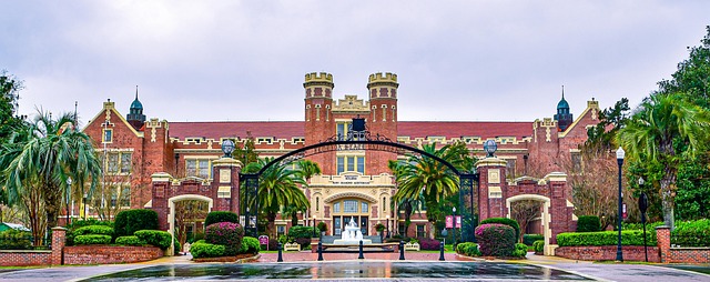 Free Building Bricks photo and picture