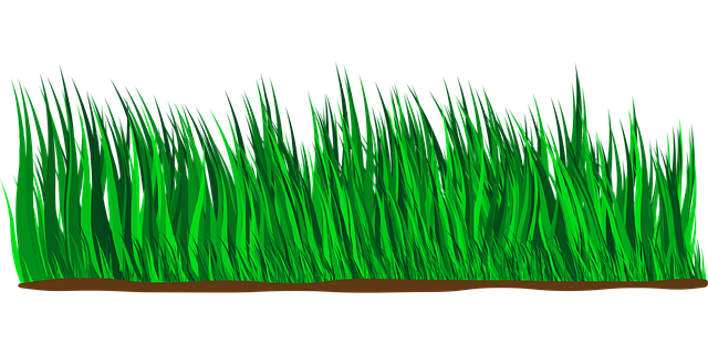 Free grass meadow plant vector