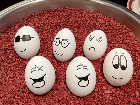 Lustige Frühstückseier, Eier