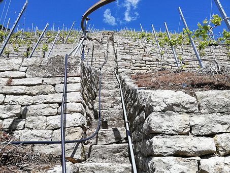 Weinberg, Treppe, Natur, Deutschland