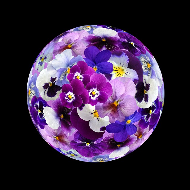 Sphere Floral Flowers - Free photo on Pixabay - Pixabay