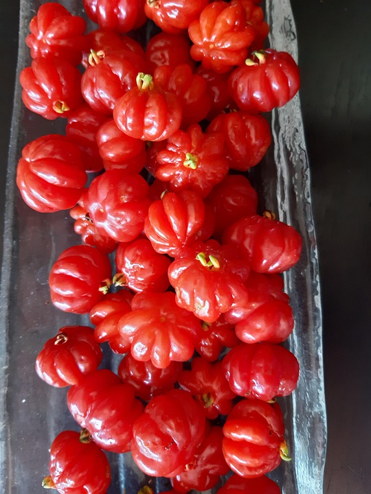 Fruit Rouge Aliments En Bonne - Photo gratuite sur Pixabay - Pixabay