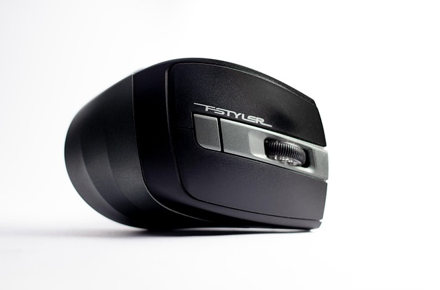 Mouse Ul Computerului, Dispozitiv