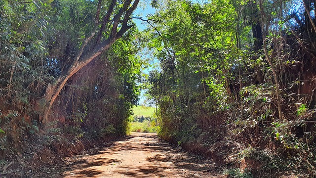 Estrada Rural Fazenda - Foto gratuita no Pixabay - Pixabay