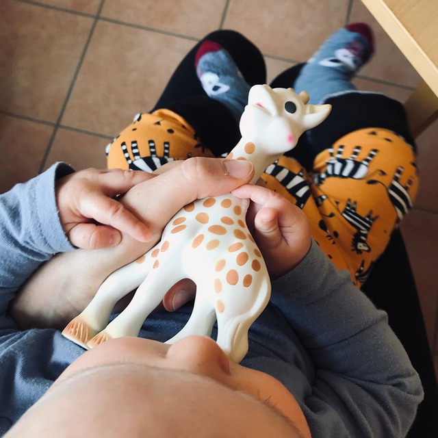 Zuigeling, Speelgoed, Giraffe, Spelen