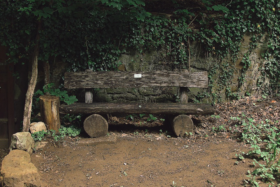 Banc de fenêtre bouleau bois massif avec bord d'arbre rebord