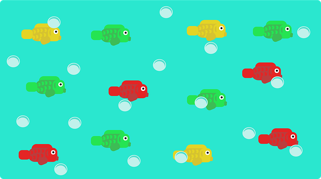 Download free HD stock image of Fish Beautiful Wallpaper Free fish beautiful wallpaper water vector