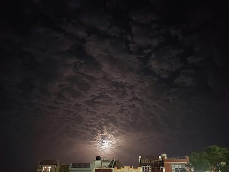 Free Moonlit Night photo and picture