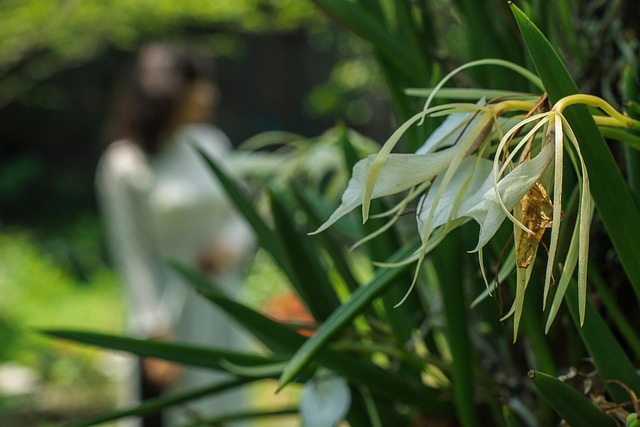 Free Women Flower photo and picture