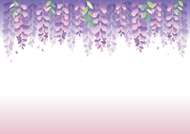 Free Wisteria Flowers illustration and picture
