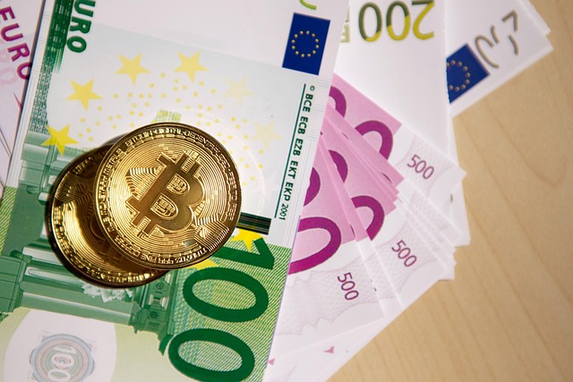 Free Money Euros photo and picture
