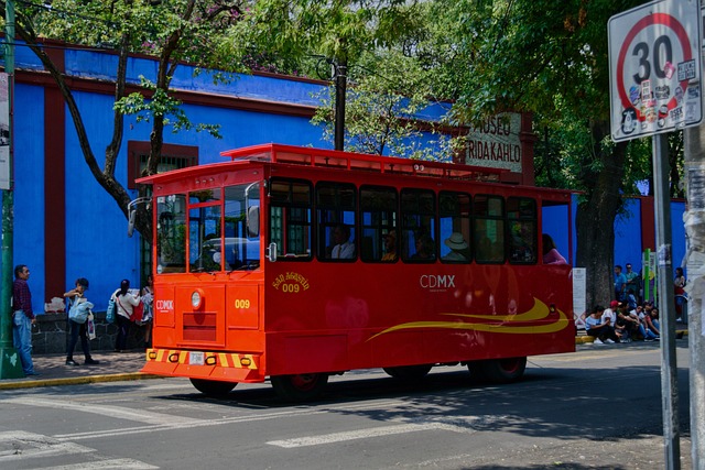 Cdmx, Coyoacán, México, Frida Kahlo