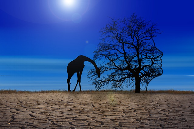 Free climate change giraffe tree illustration