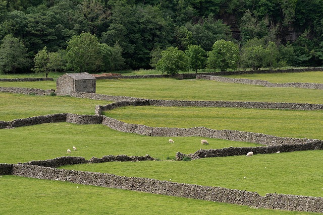 Trockenmauern, Ackerland, Scheune, Mauer