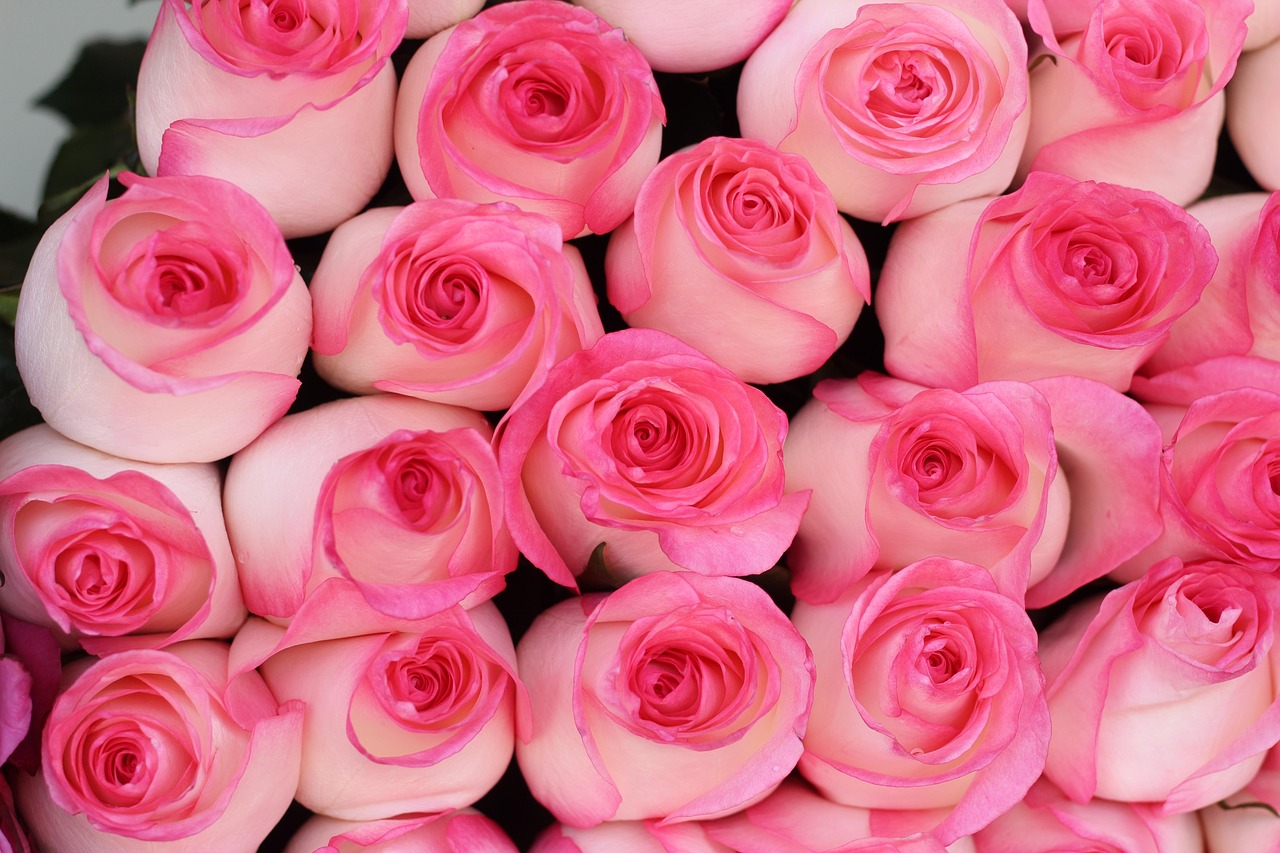 80 Sépales De Fleurs Artificielles En Tissu - Pour DIY Bouquets, Mariage, Décoration - Style Réaliste
