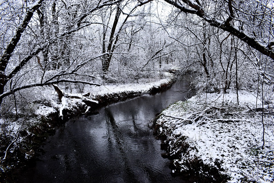 Creek Stream Brook - Free photo on Pixabay
