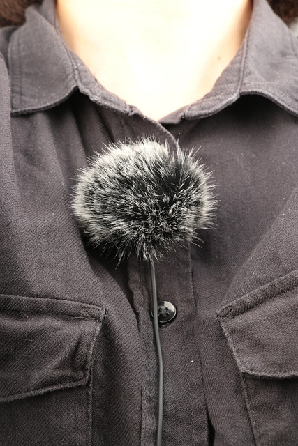 Free Microphone Recording photo and picture