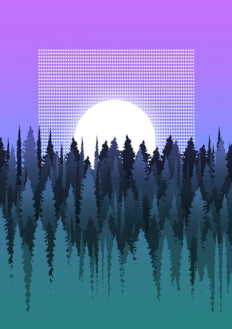 Free Forest Sunset illustration and picture