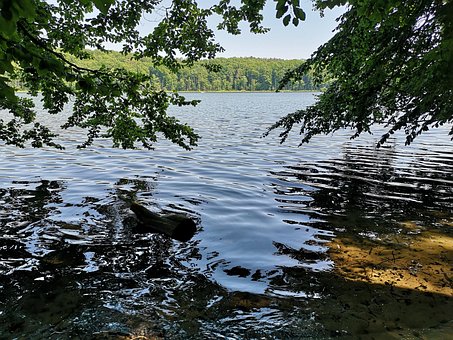 Free Wolgastsee Usedom photo and picture