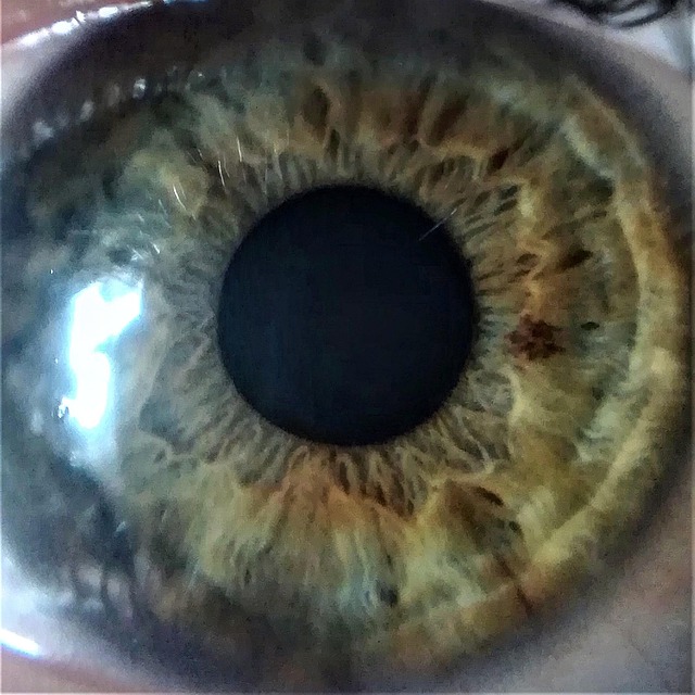 Free Eye Close photo and picture