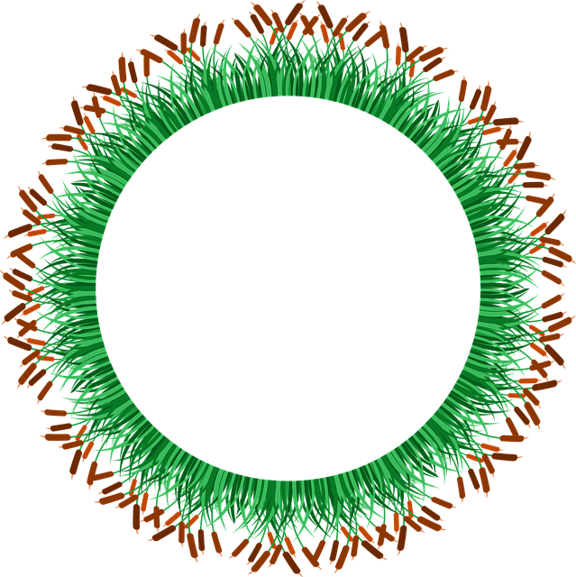 Download free HD stock image of Grass Frame Free grass frame border vector