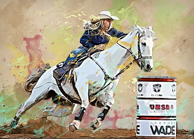 Free horse cowgirl barrel illustration