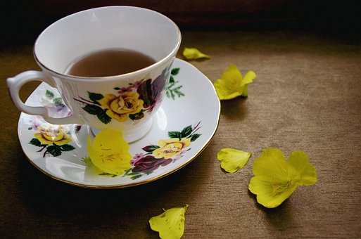 Free Cup Tea photo and picture