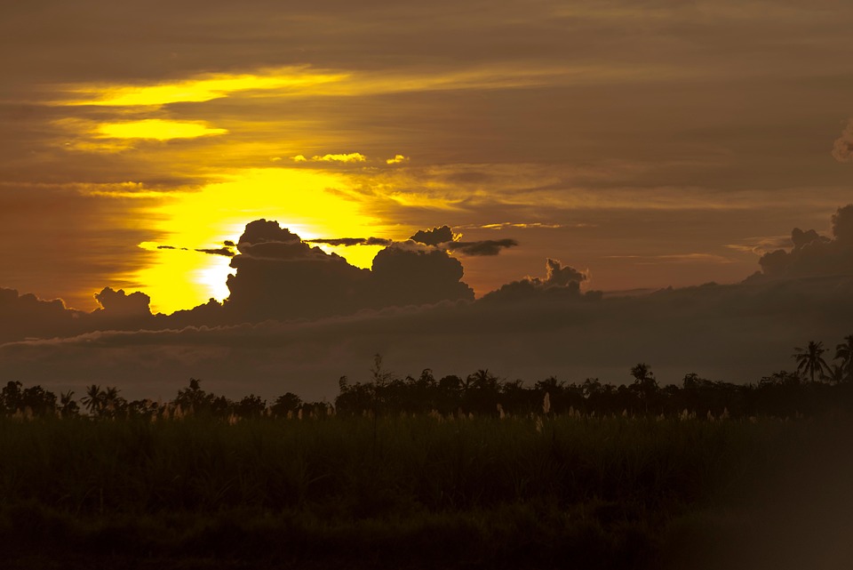 Bacolod City to Host First Terra Madre Asia Pacific: A New Era for Sustainable Gastronomy Tourism - News Directory 3