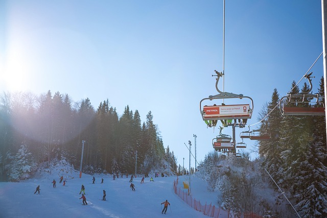 Free Skiing Winter photo and picture