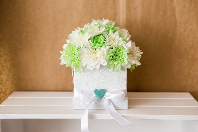 Free White Green photo and picture